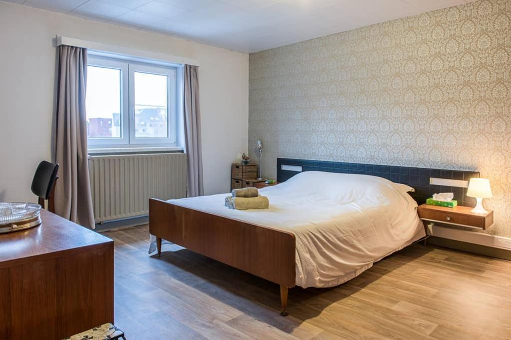 Vakantiewoning In Mol Centrum Met Eigen Bar "Casacuriosa" 외부 사진