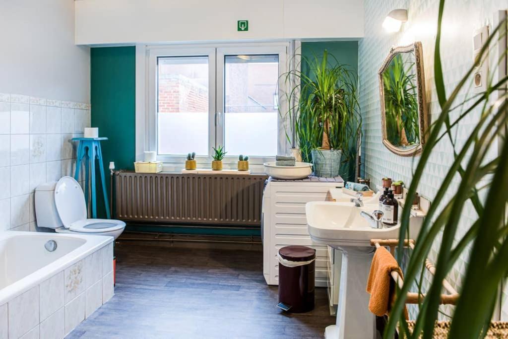 Vakantiewoning In Mol Centrum Met Eigen Bar "Casacuriosa" 외부 사진